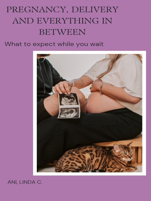 Title details for Pregnancy, Delivery and Everything in Between by Linda  Eneke - Available